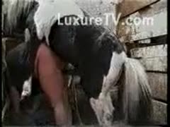 Kinky whore getting her large wet crack stretched even greater quantity by her studhorse 
